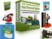 DIY Mold Removal Kit